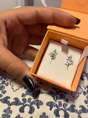 brinco de estrela vivara