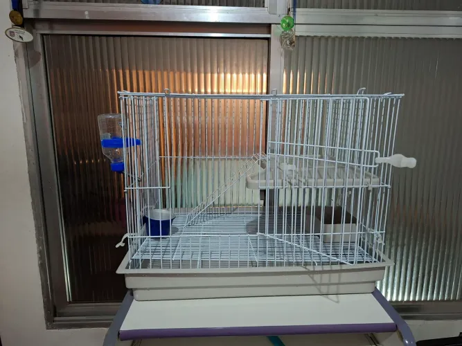 **GAIOLA ROEDORES**