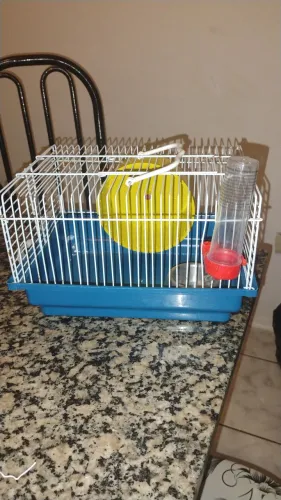 Gaiola hamster