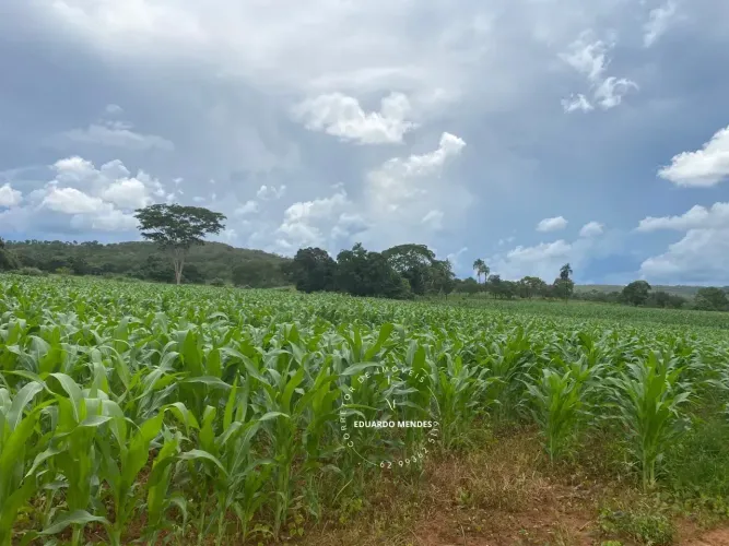 Fazenda c/ 20 alqueires, criar gado, 3.5 km do povoado da Capela Rio do Peixe,  Pirenópoli