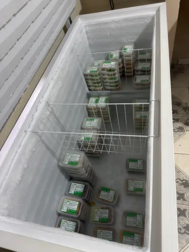 Freezer Electrolux