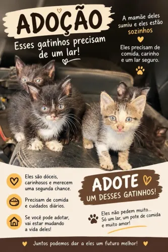 A MAMÃE SUMIU!.ELES PRECISAM DE UM LAR