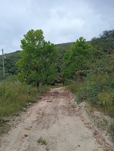 Sítio Rochedo com 77 hectares 