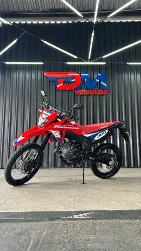 XR 300L Tornado SE