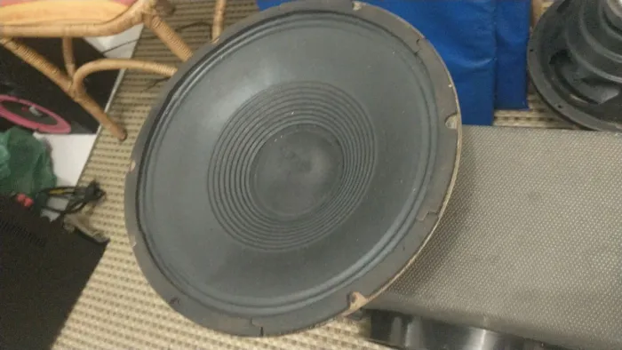 Alto falante de 12 150 RMS Selenium