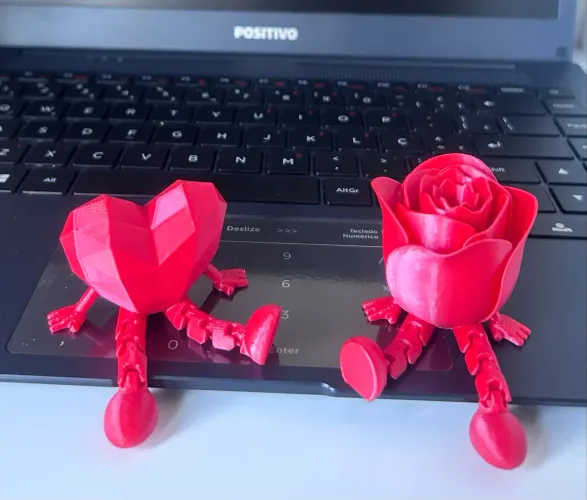 Kit Presente Rosa e Coração Articulados 3D