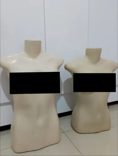 Manequins Busto Feminino