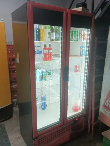 Freezer de 2 portas 