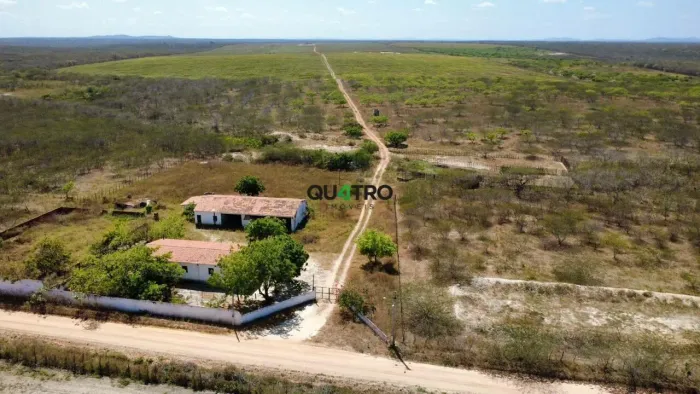 FAZENDA PRODUTIVA À VENDA EM OCARA/CE 241 HECTARES.
