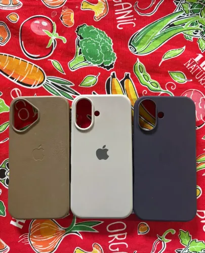 Capinhas iPhone 16