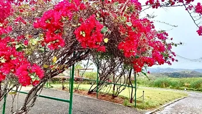 LOTE NO CONDOMÍNIO QUINTAS DA SERRA - 2.486 m² - SERRA DE SÃO BENTO