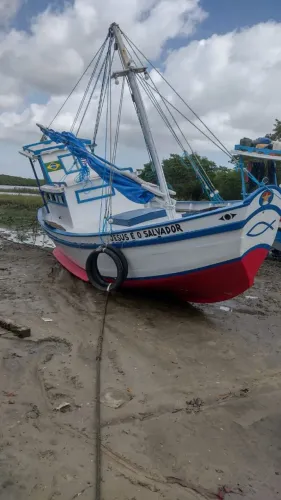 Barco estilo biana