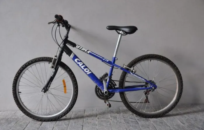 Bicicleta Caloi Max 21V Aro 24