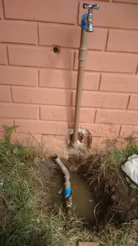 jazigo Bosque da Esperança Quadra IPÊ