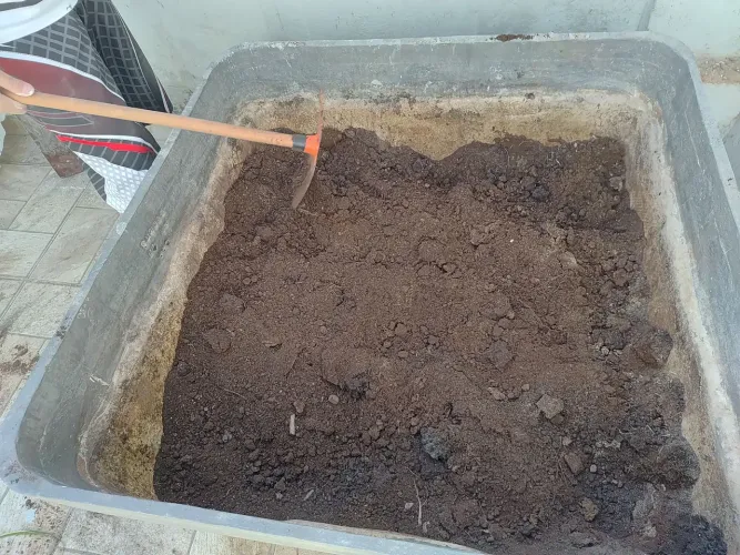 Vendo terra para planta