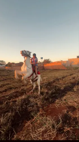 vendo cavalo de carroça e montado