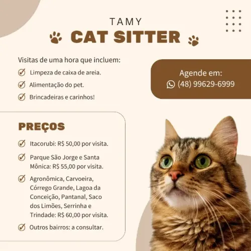 Cat sitter em Florianópolis