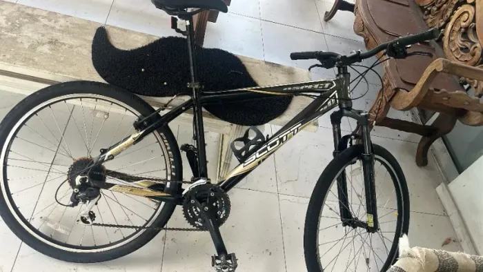 Bicicleta