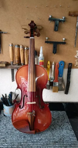Violino nhureson