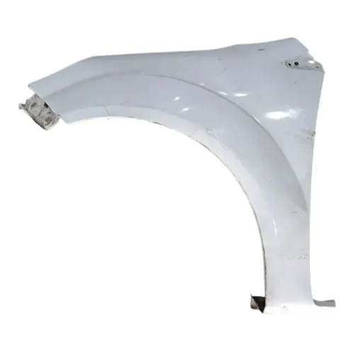 Paralama Dianteiro Esquerdo Externo Ford Fiesta 2003 A 2013