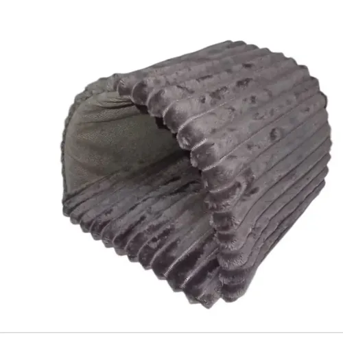 Caminha para PET 