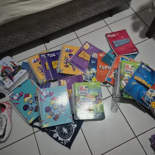 Livros SAS Colégio Executivo