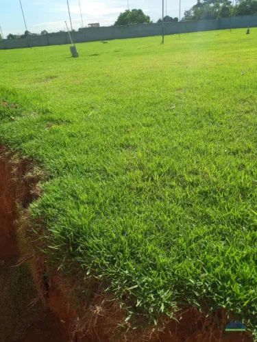 Venda - Área comercial - 5.000m² - Cariacica