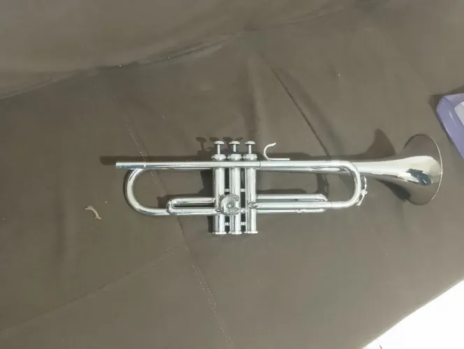 Trompete Rex sib. Não faço envio.