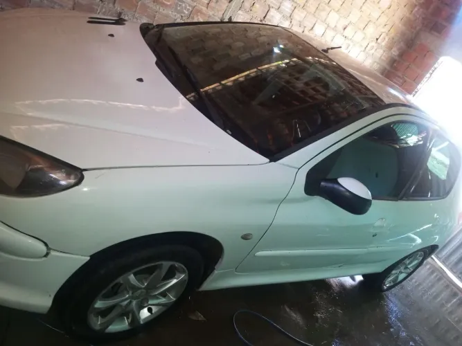 Peugeot 206 Presence 1.4/ 1.4 Flex 8V 5P 2006
