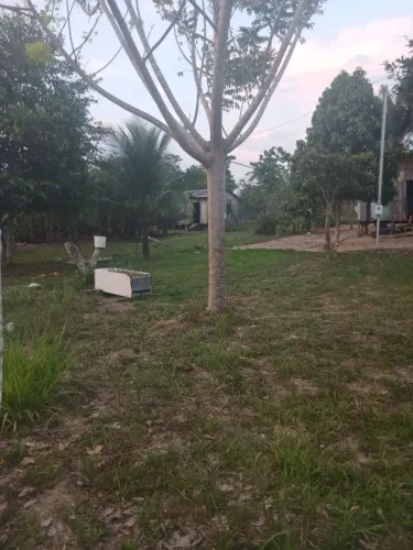 Chácara medindo 50x100m