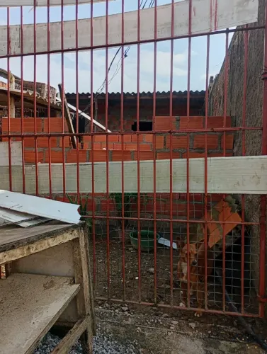 Casa e terreno