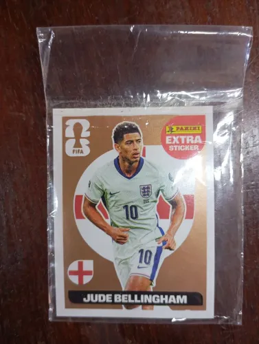 Belinhgham legend bronze