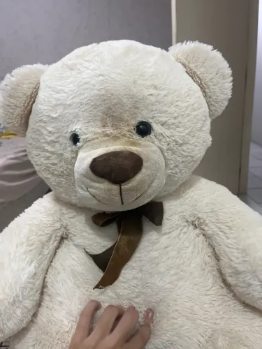Urso de pelucia 85cm ? Josh