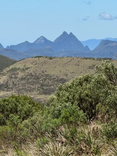 Vende se 20 hectares de terra 