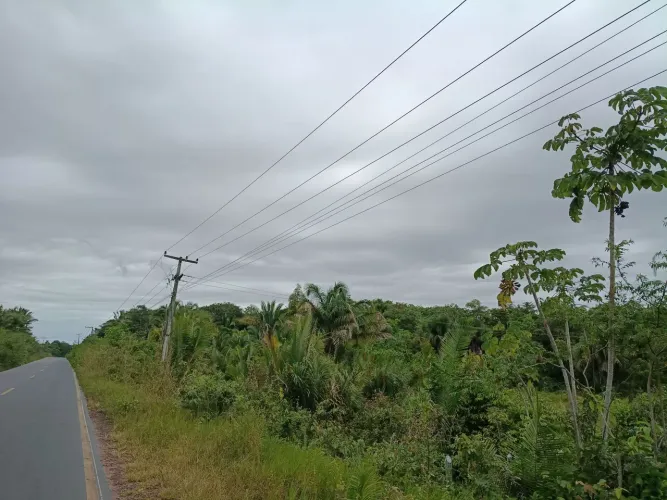 Vendo uma fazenda de mil setecentos e vinte hectares.