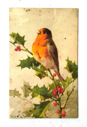 Vintage - Antigo Cartão Postal Suíça Anos 40 (Aproximadamente) - Ilustração Aves