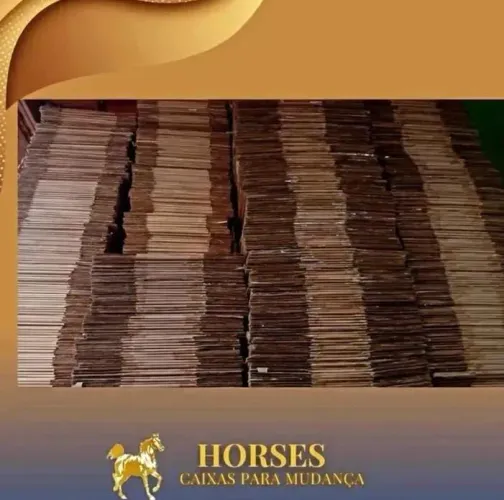 CAIXAS EM DIVERSOS TAMANHOS E VALORES