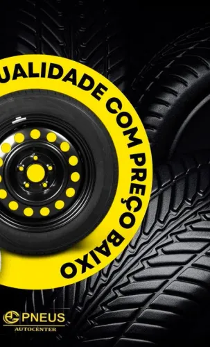 Pneus 195/55/15 fds AG
