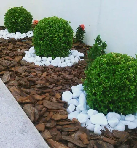 Jardinagem e paisagismo 
