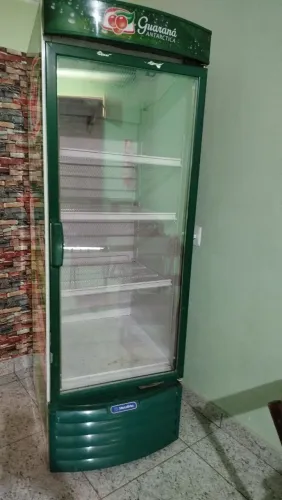 Freezer vertical