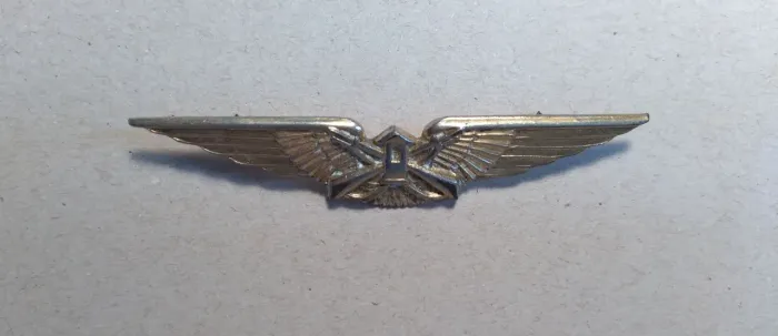 Pin TM G de asa de avião vintage FAB