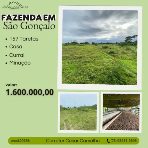 FAZENDA EM SÃO GONÇALO - 157 TAREFAS