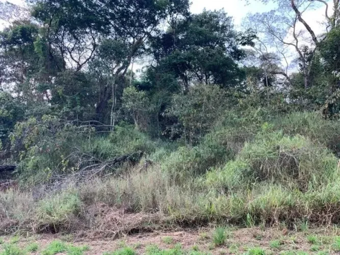 Vendo Excelente Lote de 1.295 m² no Condomínio Mirante da Mata em Nova Lima