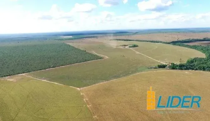 Excepcional fazenda dupla aptidão com 17.000 hectares à venda na Região Norte do Matopiba