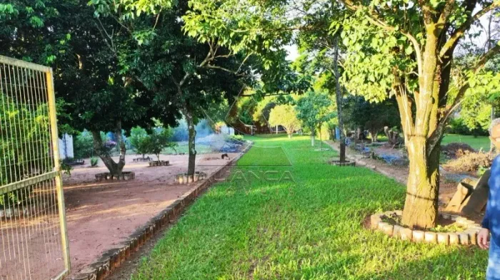 Chácara - Cravinhos - Ribeirão do Tamanduá