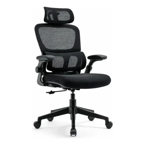 Cadeira De Escritório Ergonômica Presidente (NA CAIXA)