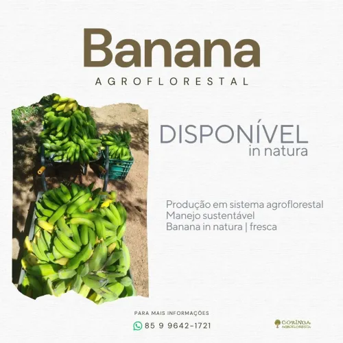 Bananas