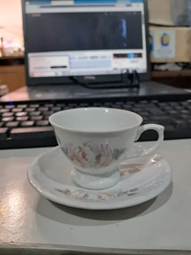 Raridade -Xícara de café com pires Vitoria Porcelana Schimidt 70 ml