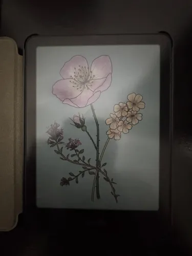 Kindle Colorsoft Signature Edition 32GB 