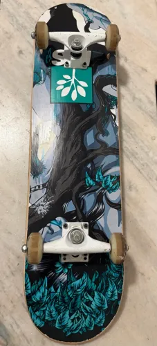 Skate progress